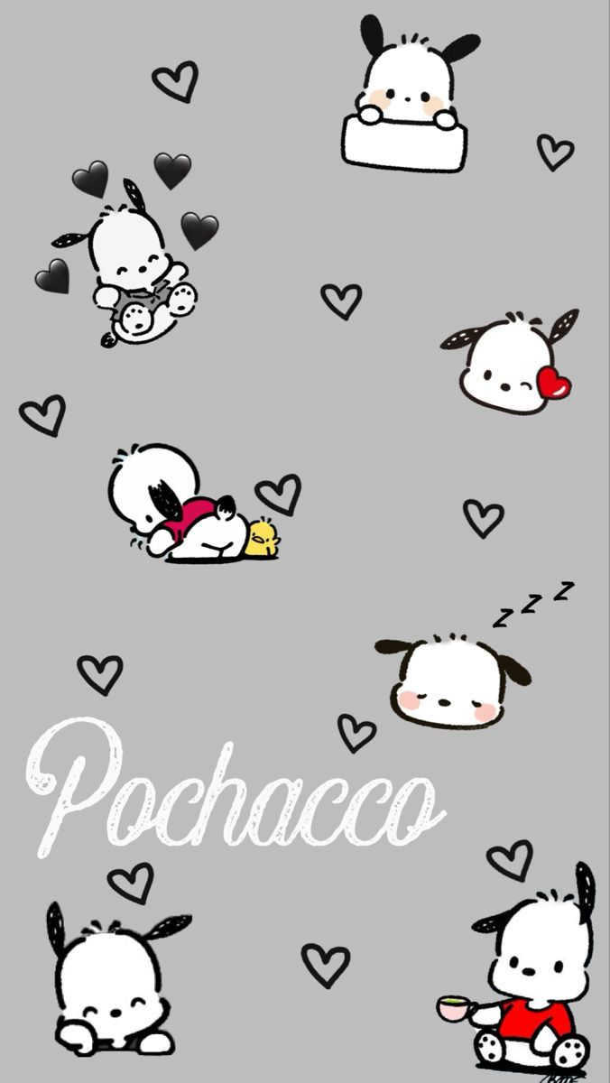 Pochacco wallpaper