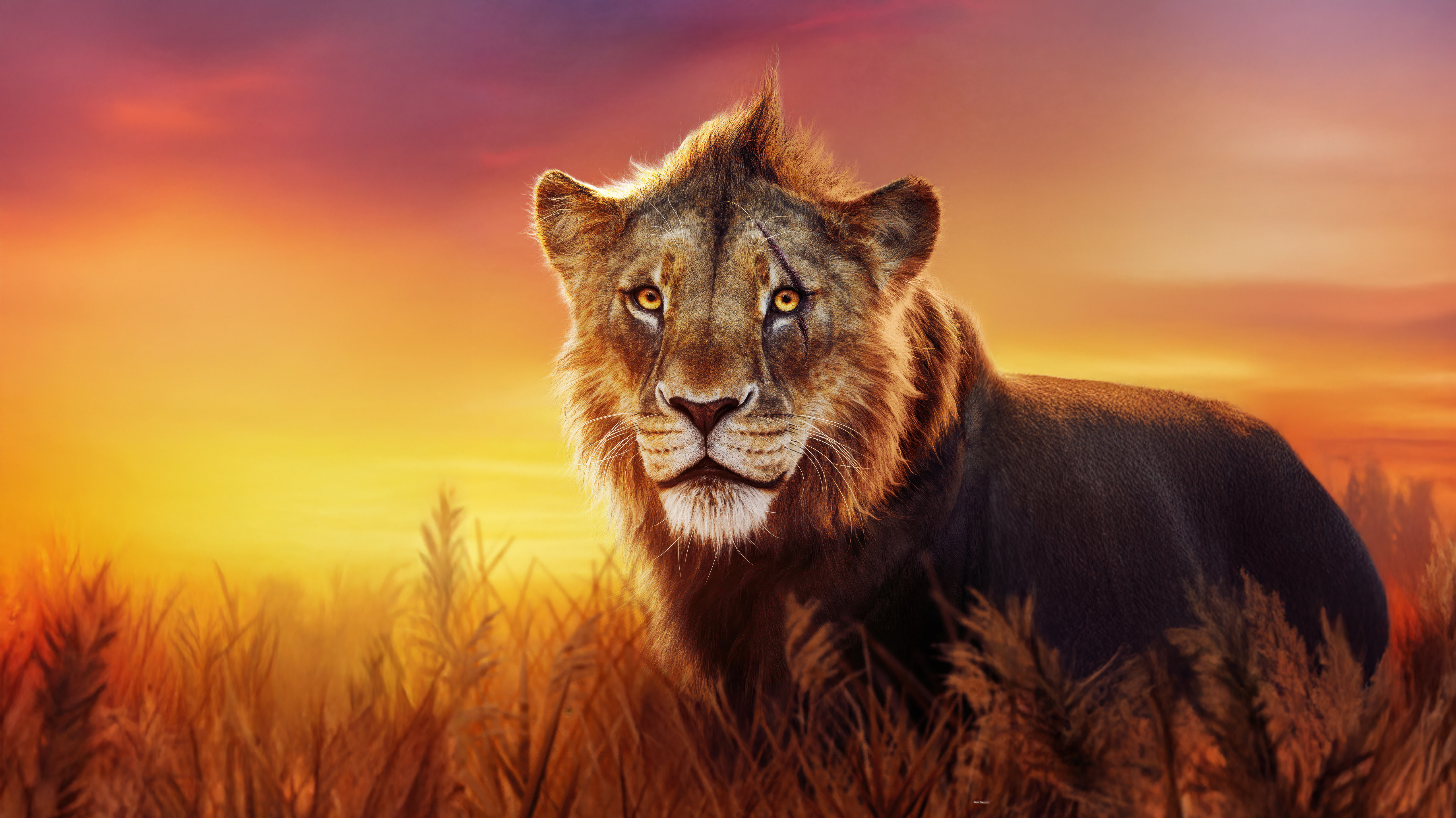 Taka In Mufasa The Lion King Wallpaper, HD Movies Wallpaper, 4k Wallpaper Image, Background, Photos and Picture