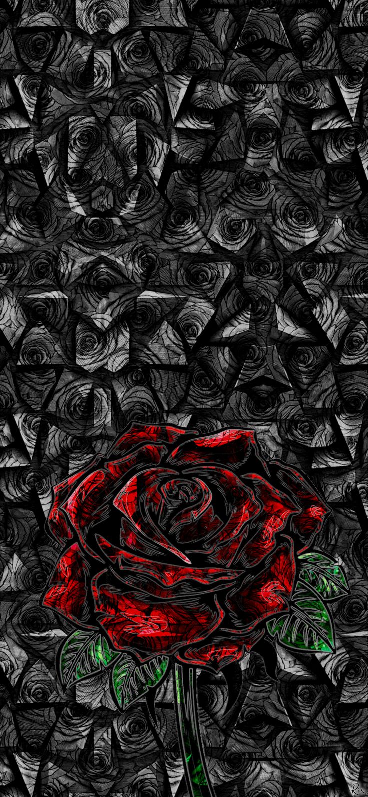 iphone 15 Pro Max Wallpaper Roses and Spikes