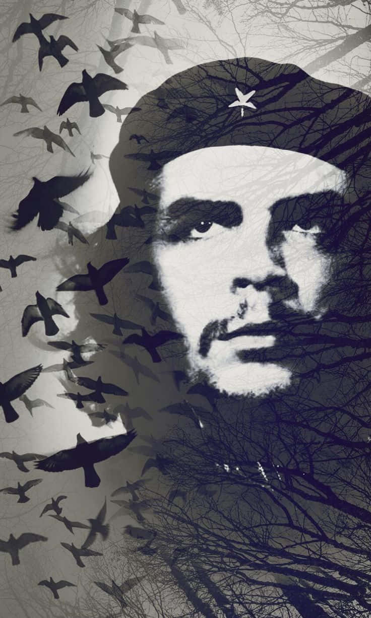 Download Che Guevara Iconic Portraitwith Birds Wallpaper