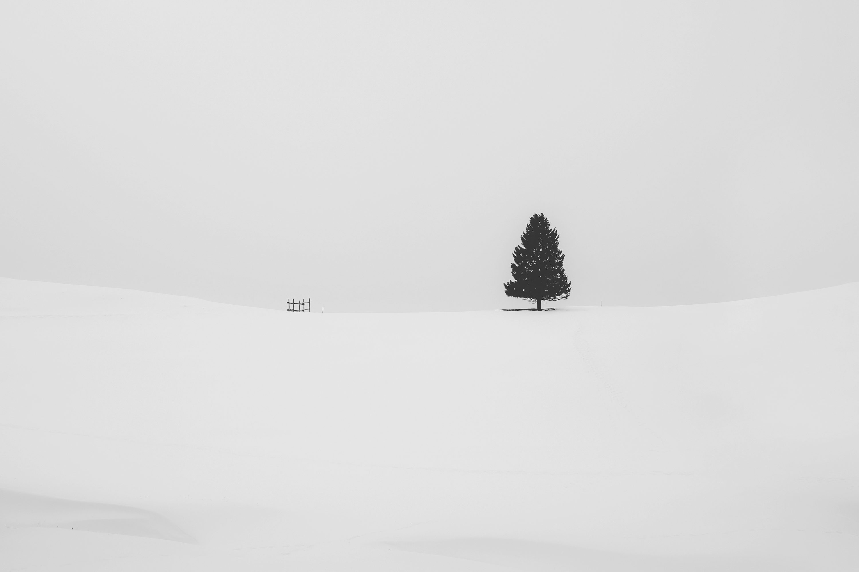 White Minimal Picture. Download Free Image