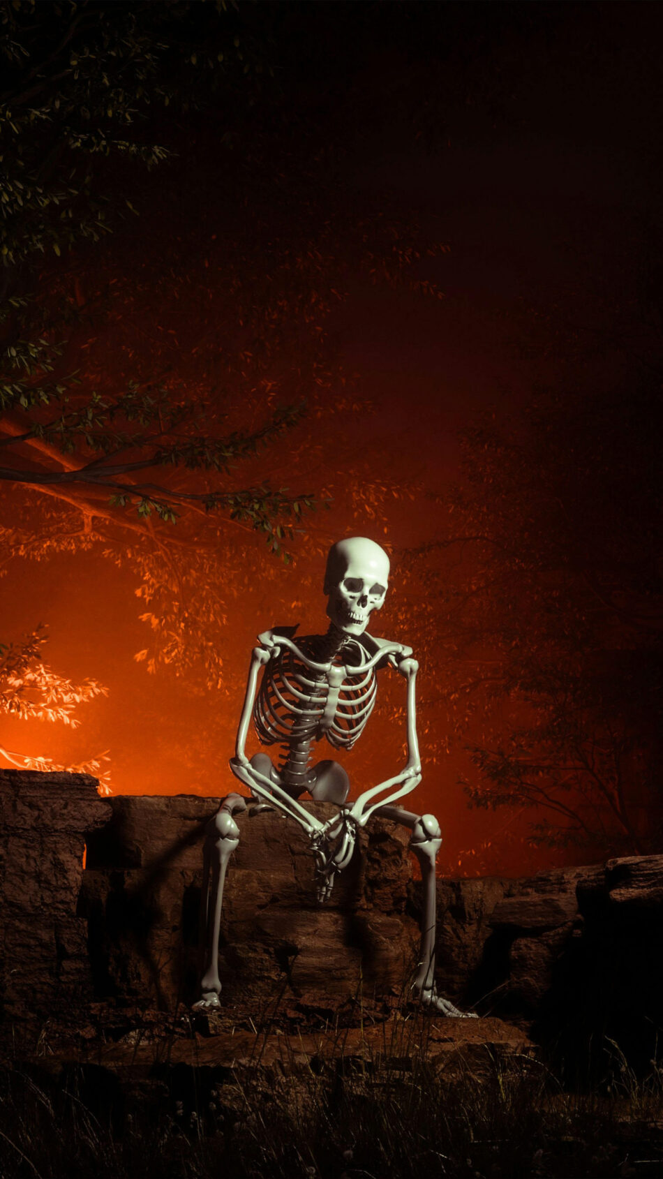 Skeleton Sitting Halloween Decoration 4K Ultra HD Mobile Wallpaper for iPhone & Android