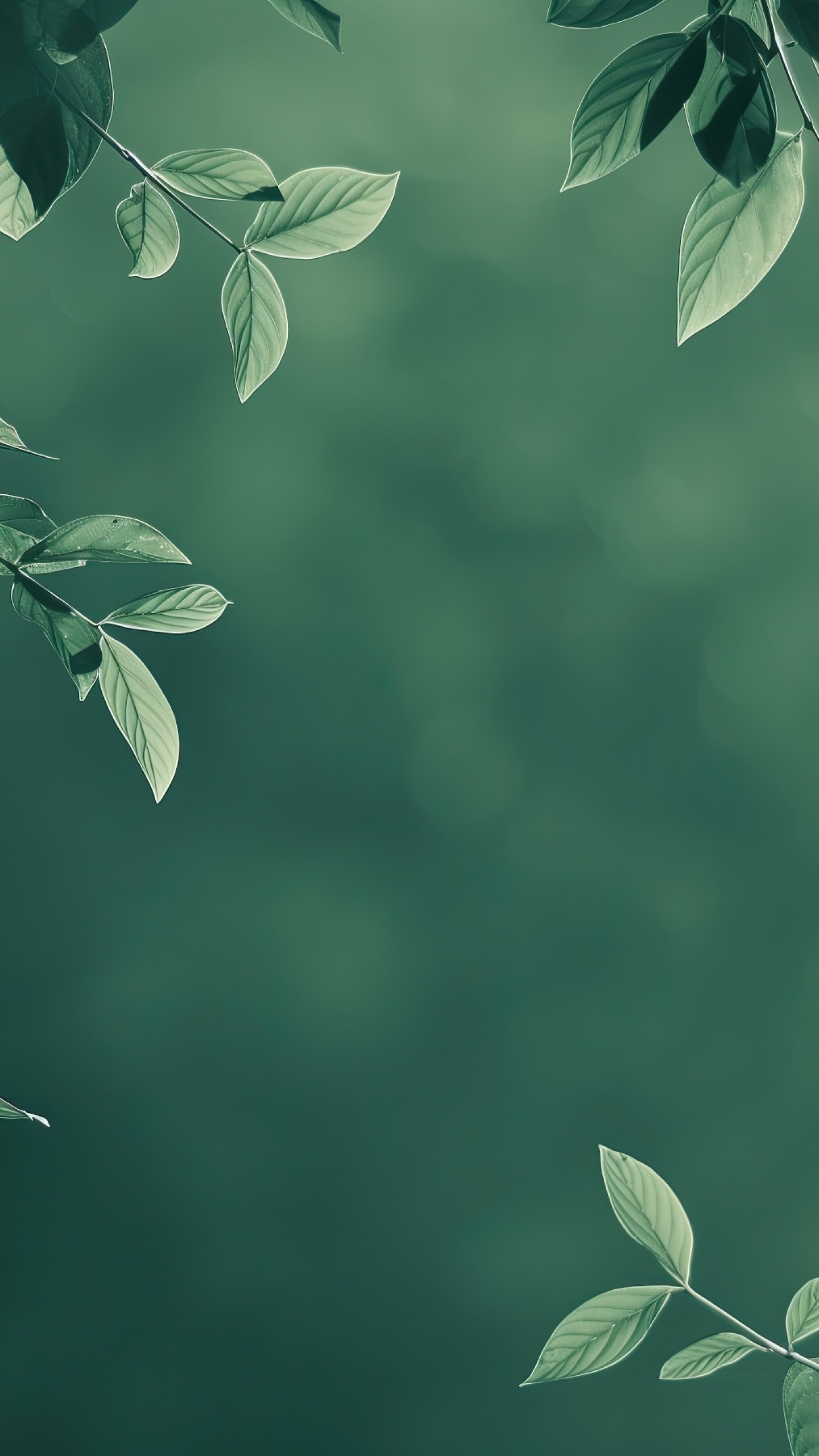 Leaves Wallpaper 4K, Vibrant