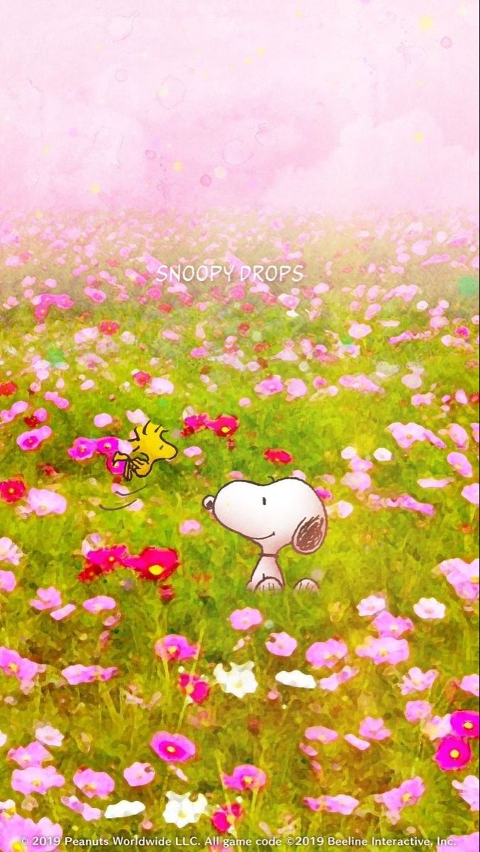 Sea of wildflowers brings friends together