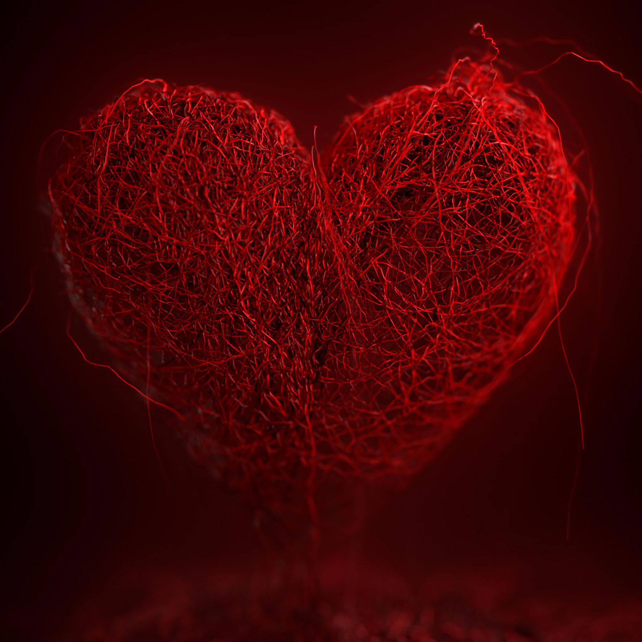 Wallpaper Valentines Day, Red, Heart, Love, Organ, Background Free Image
