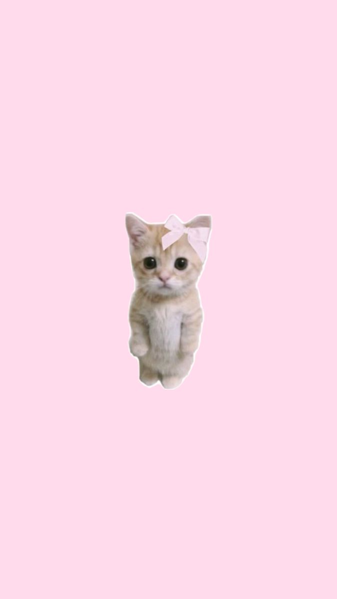 Wallpaper. Kawaii wallpaper, Hello kitty wallpaper, Cat wallpaper