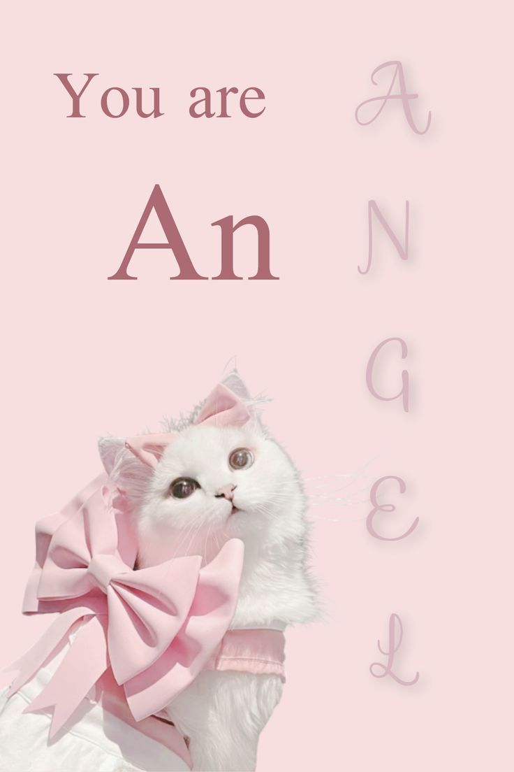 cat coquette wallpaper♥♥♥