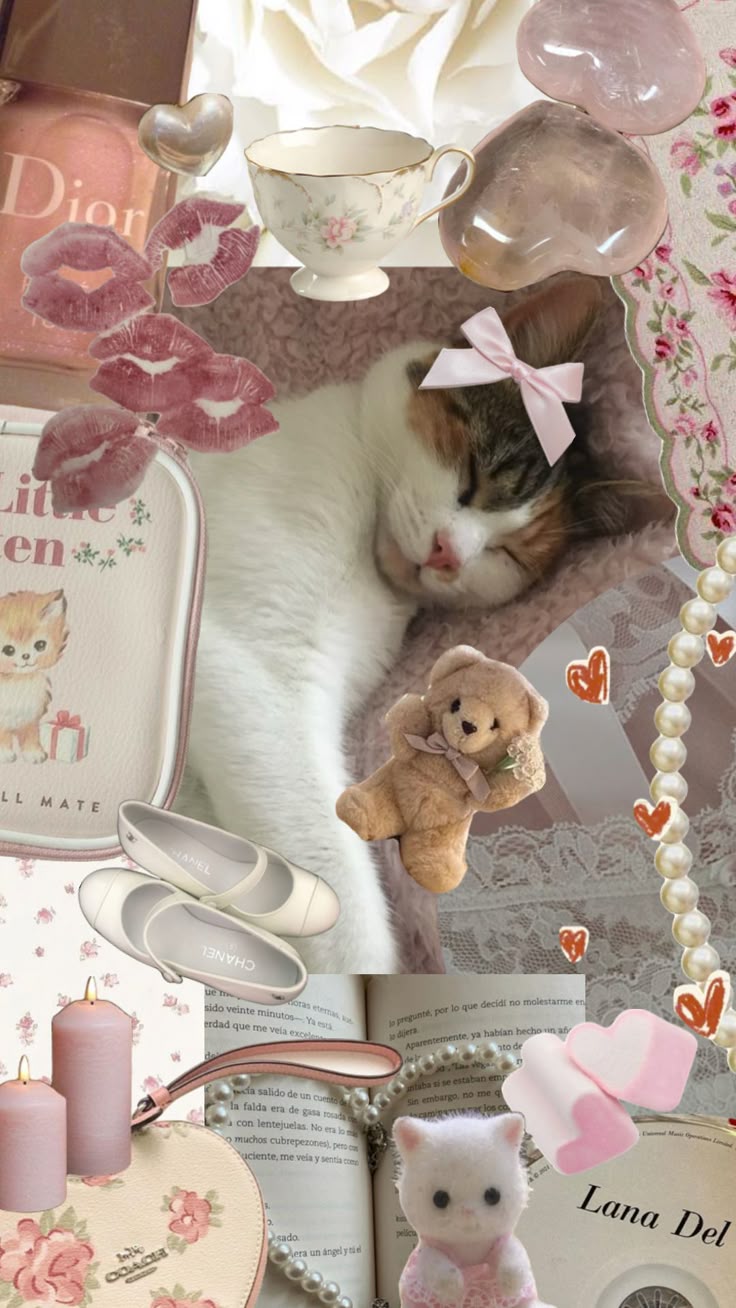 This is Mabel my cat <3 did a little edit bc she's a coquette pin