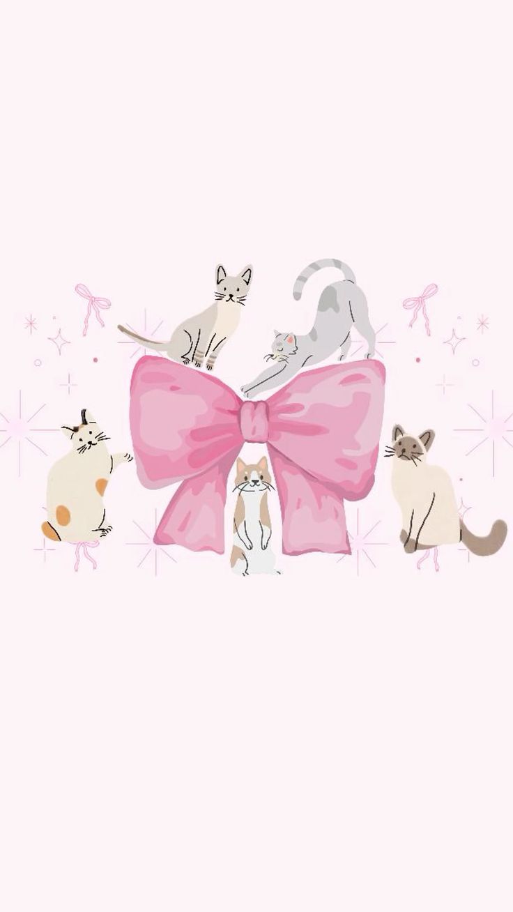 Coquette cat wallpaper