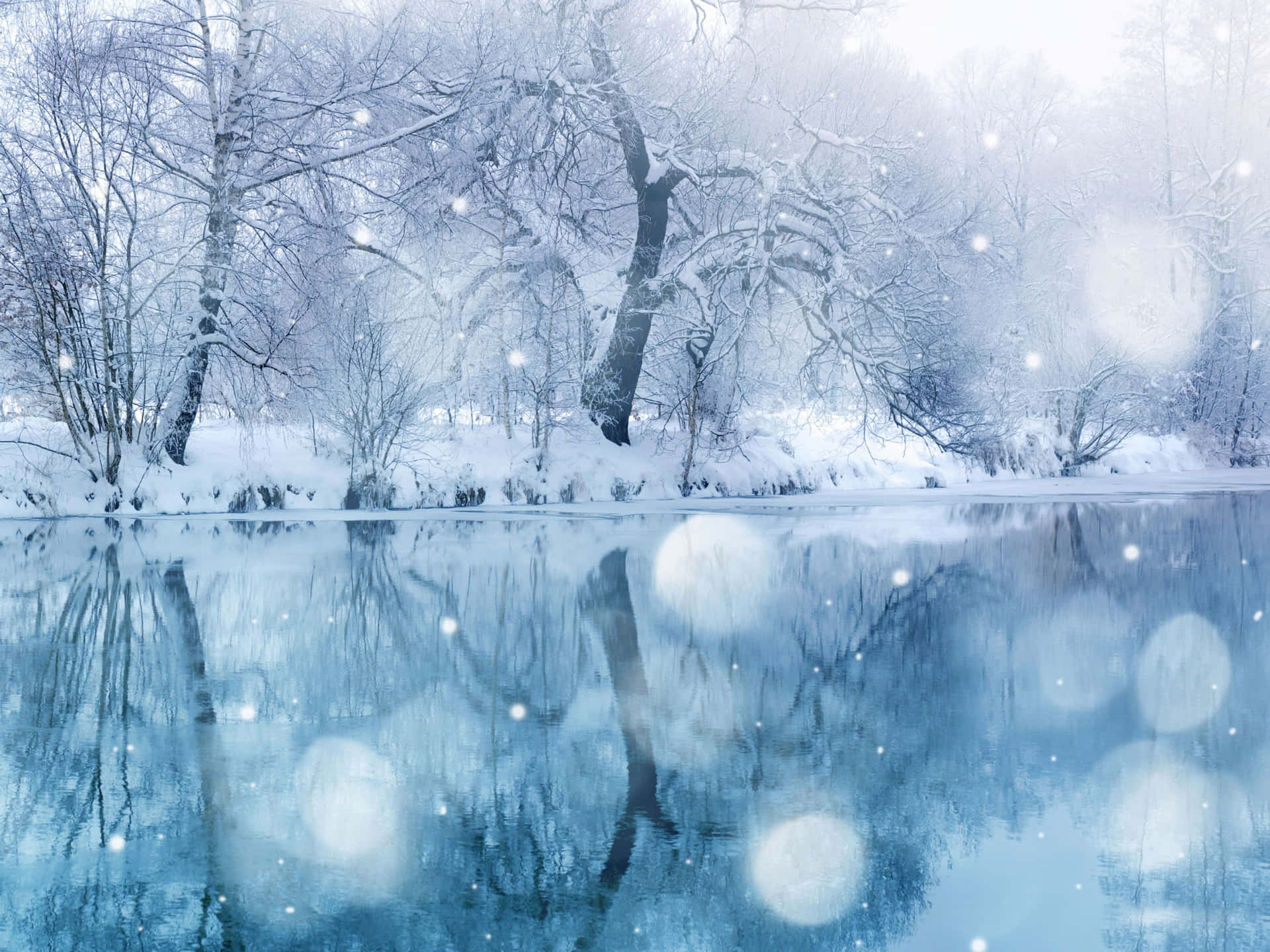 Winter Snow Background