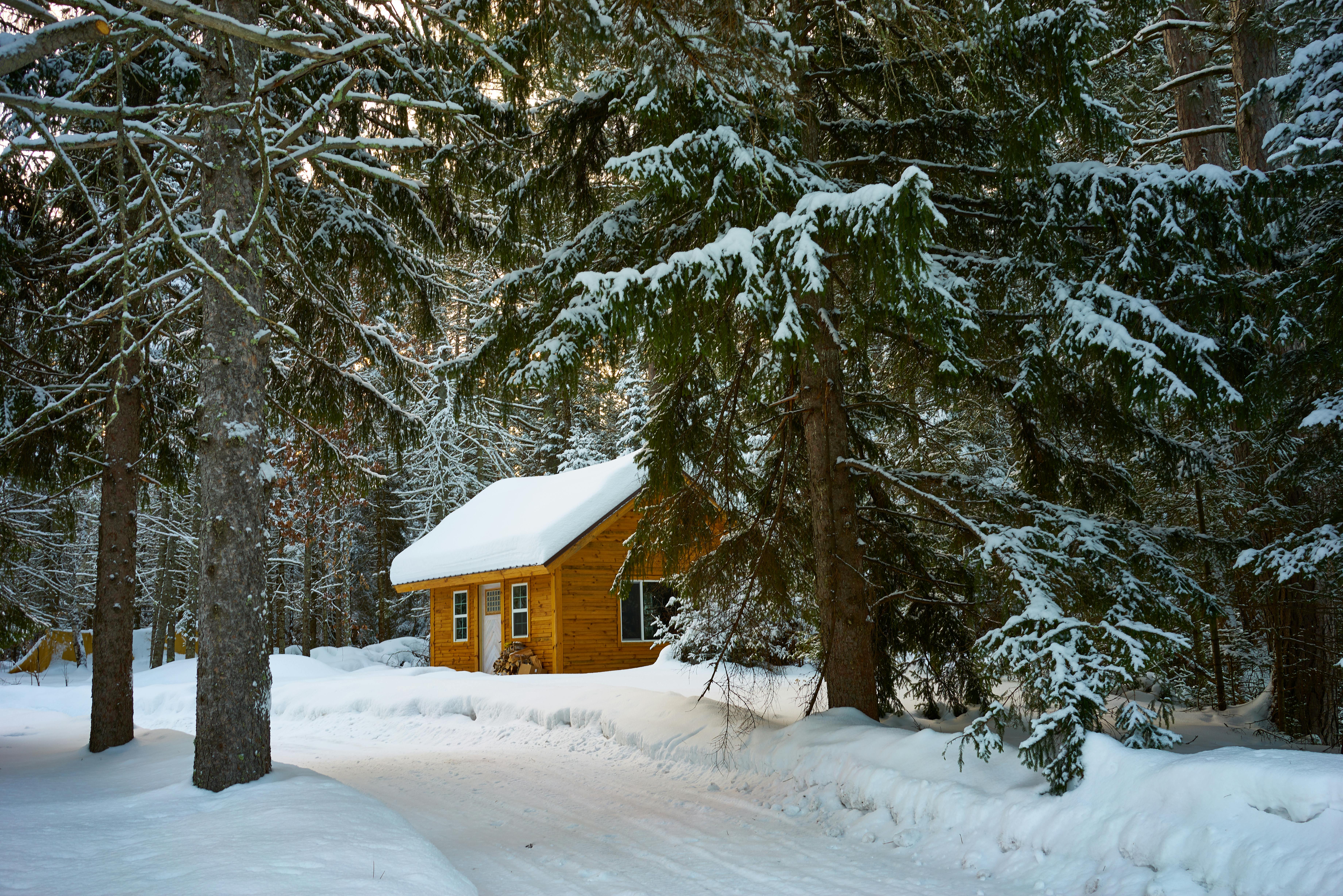 Brown House Near Pine Trees Covered With Snow · Free