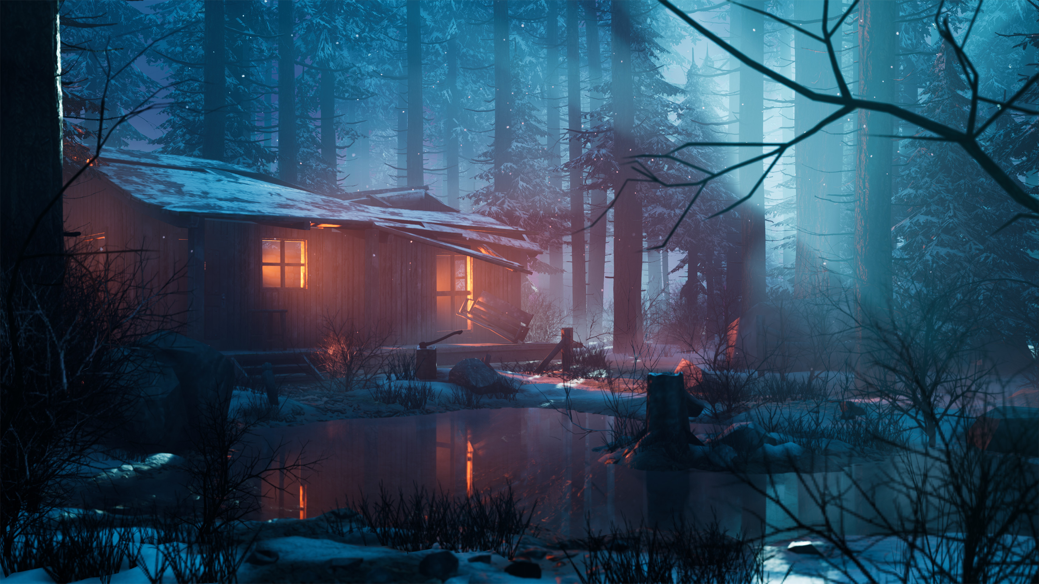 Winter Forest Cabin Environment