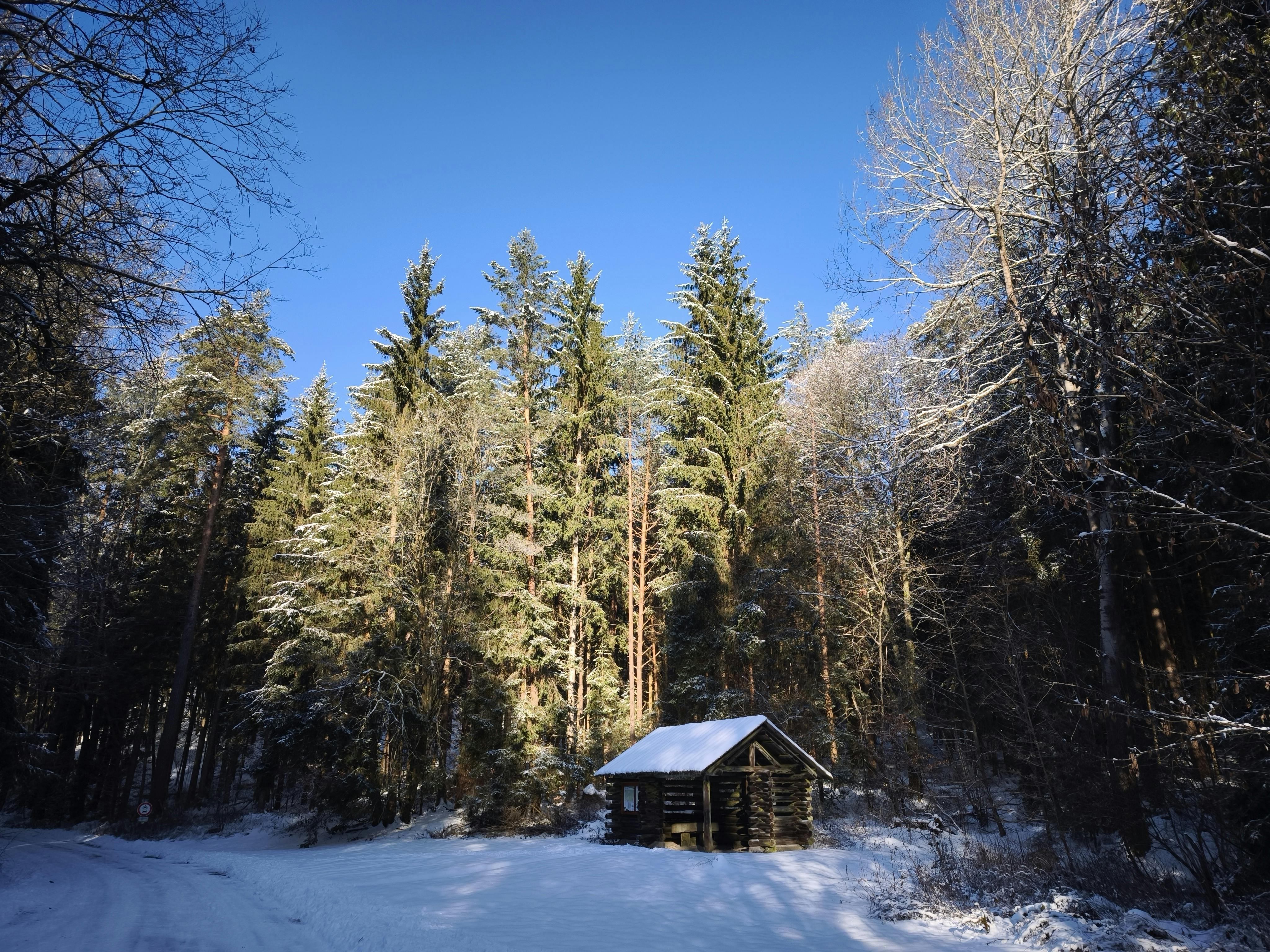Winter Cabin Photo, Download The BEST Free Winter Cabin & HD Image