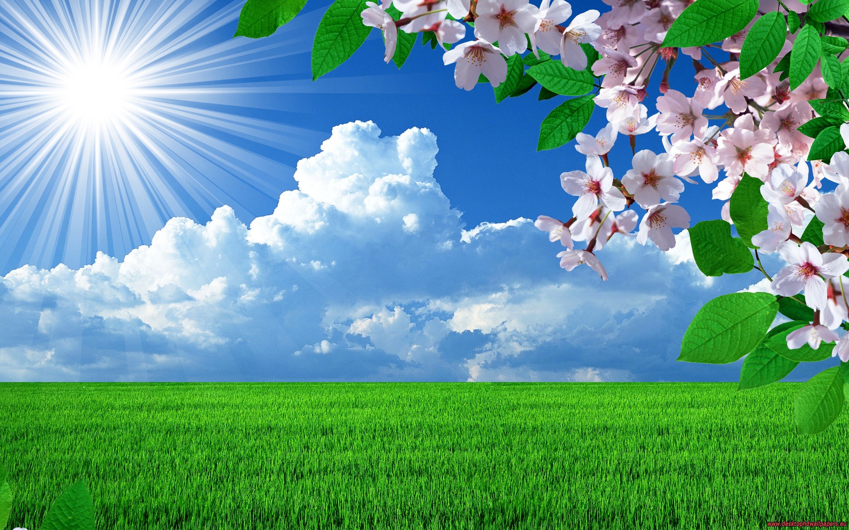 nature, Spring, Flowers, Landscapes, Trees, Sky, Landscape Wallpaper HD / Desktop and Mobile Background