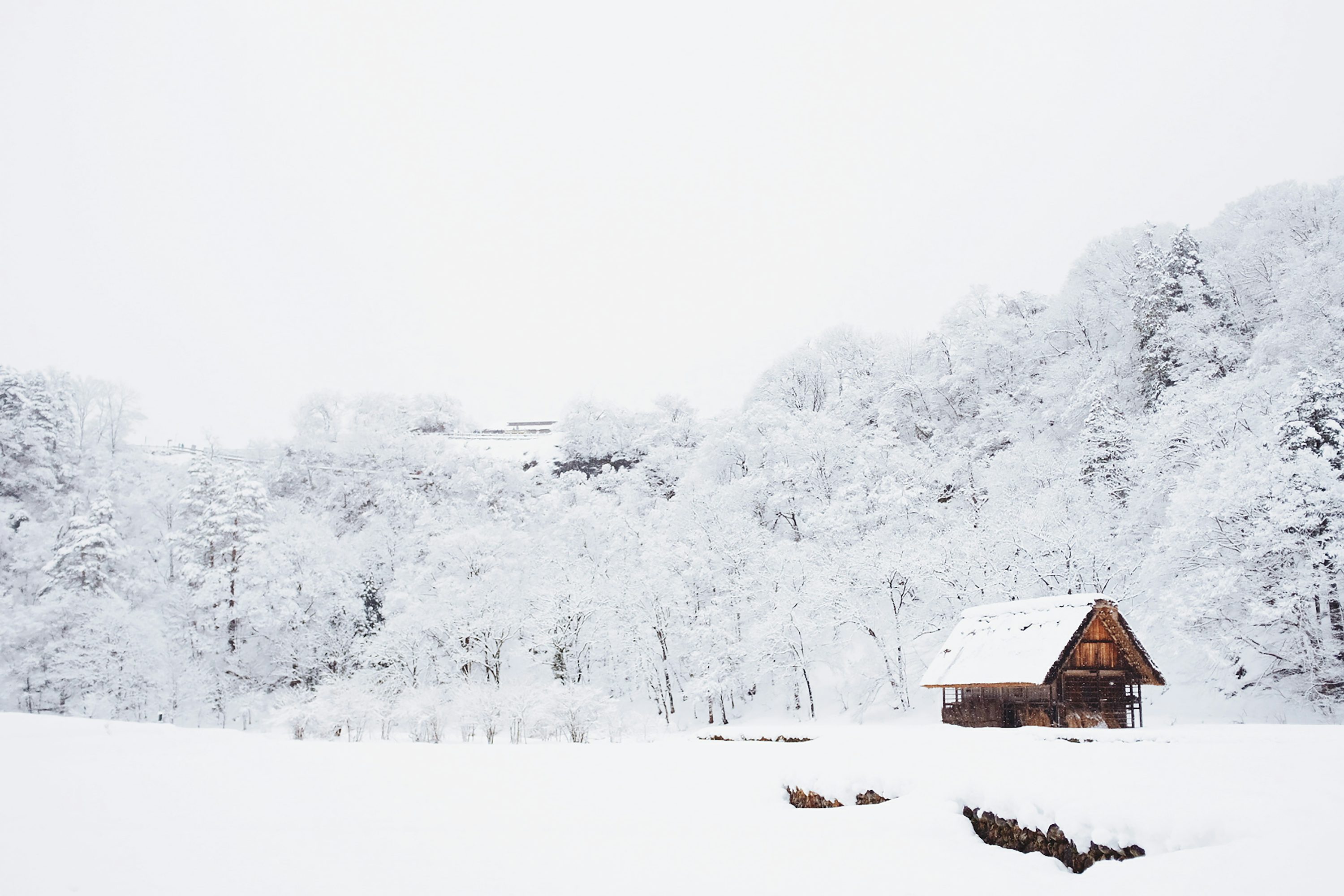 Winter Cabin Picture. Download Free Image