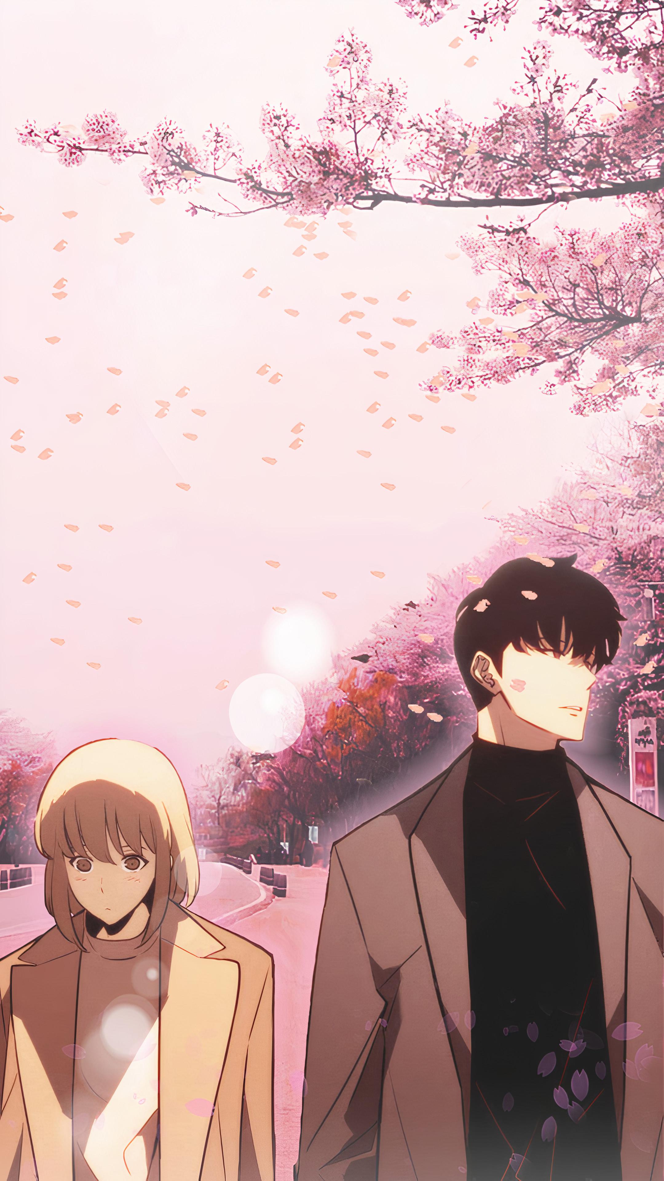 I made Sung Jin Woo and Cha Hae In Wallpaper from Solo Leveling (sorry for the quality.)