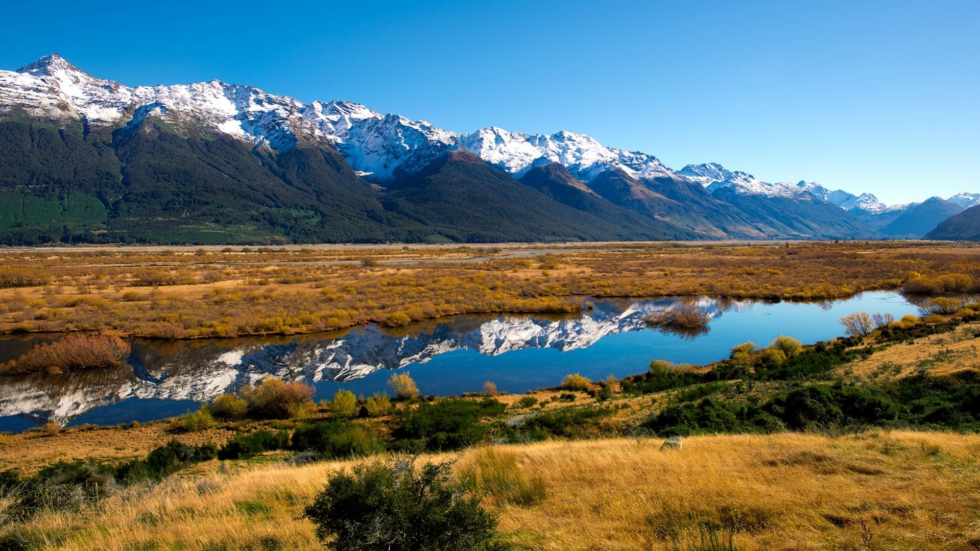New Zealand