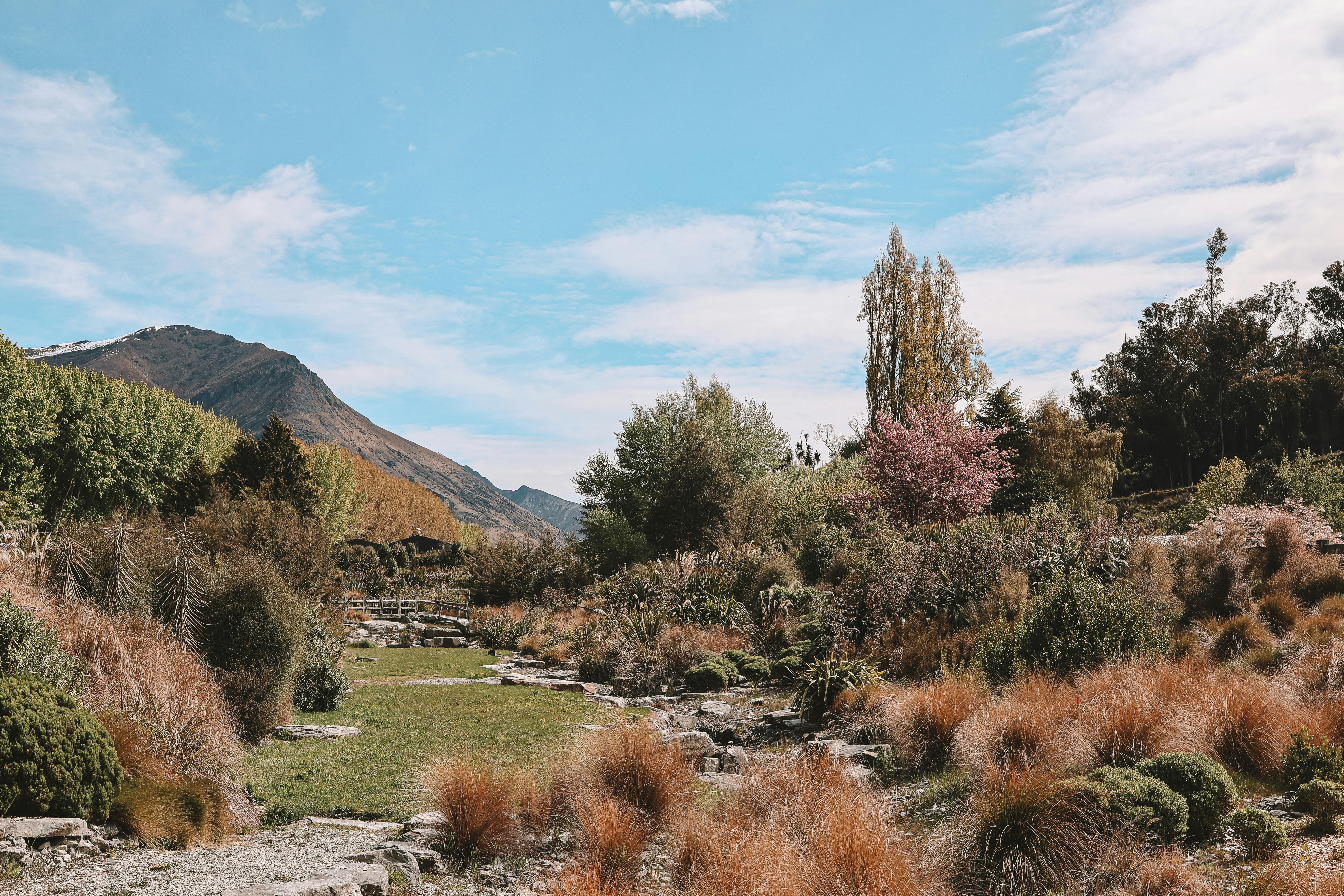 Stunning Landscape in Queenstown, New Zealand · Free