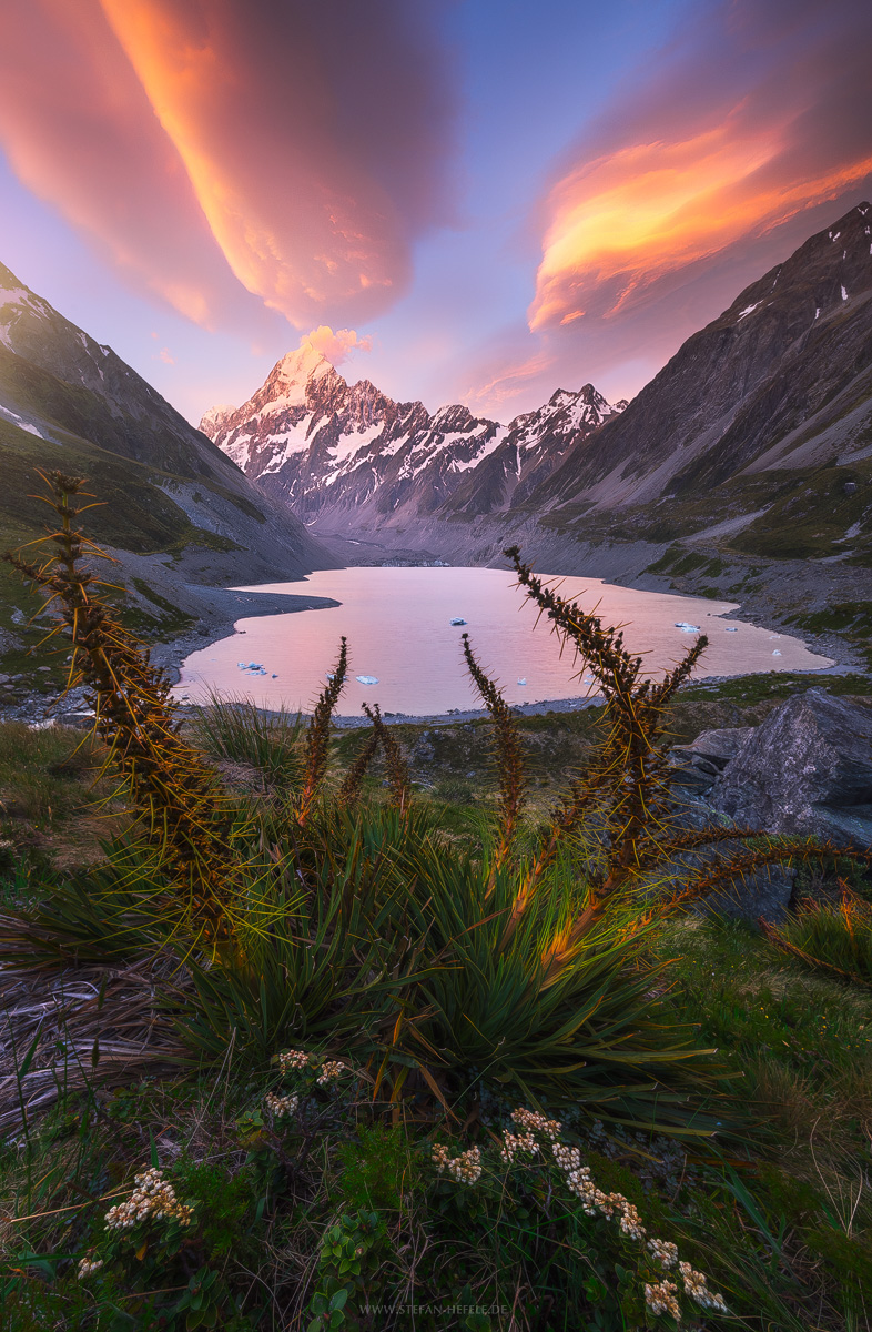 New Zealand picture Hefele photography