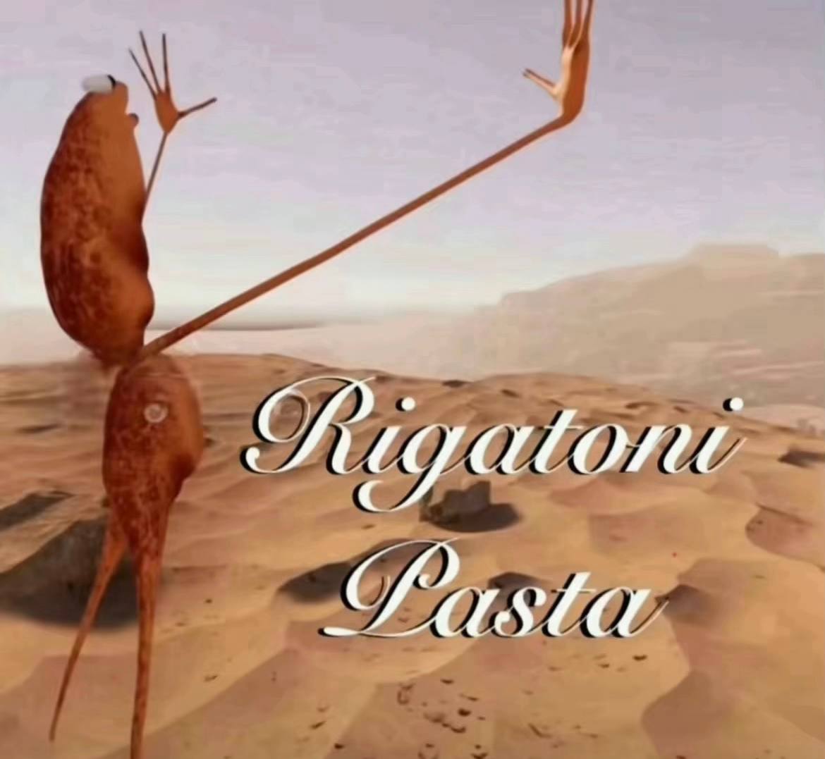 in the end, what matters? nothing. right? so you make it for yourself you make your rigatoni pasta