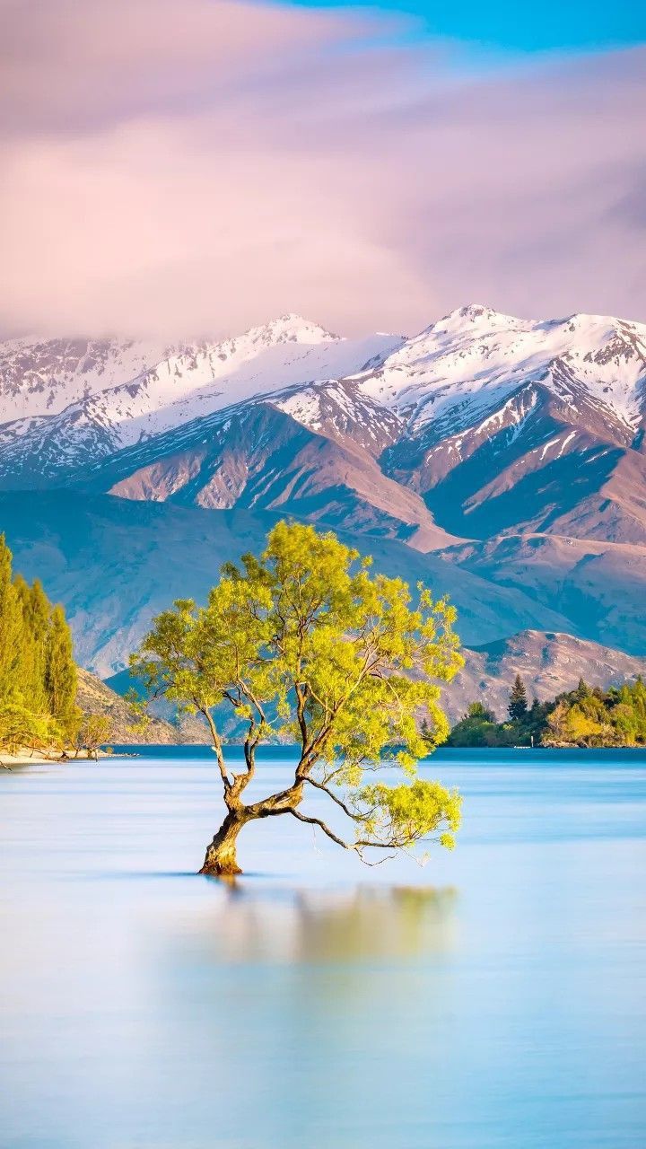 Nature Wallpaper