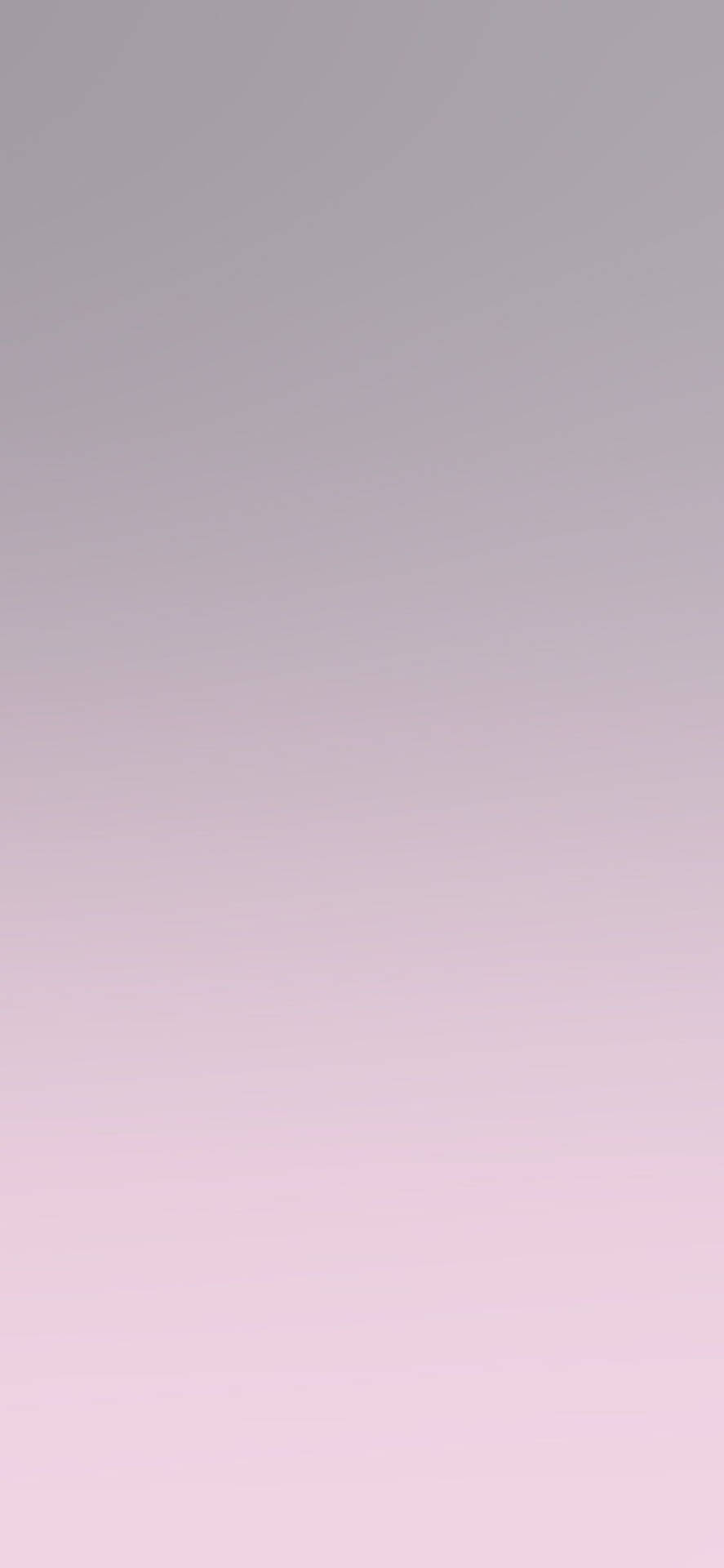 Download Elegant Light Purple iPhone Background Wallpaper
