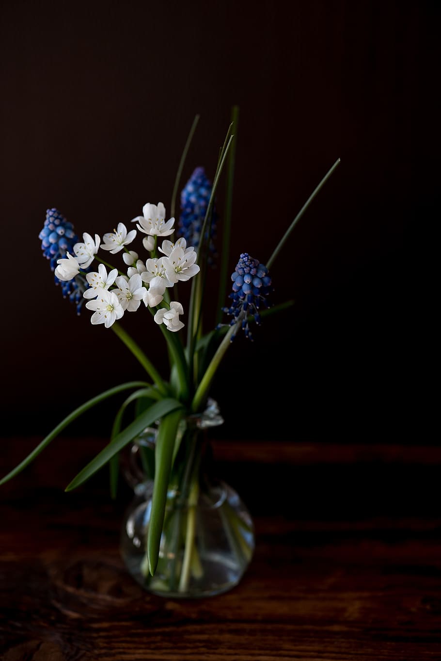 vase, flowers, white, blue, tender, beautiful, small flowers, flower vase, still life, close up