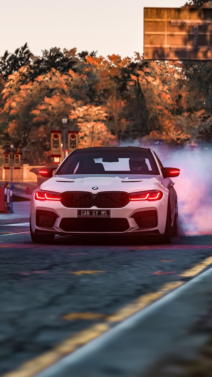 TGN & Prvvy's BMW M5cs / AC