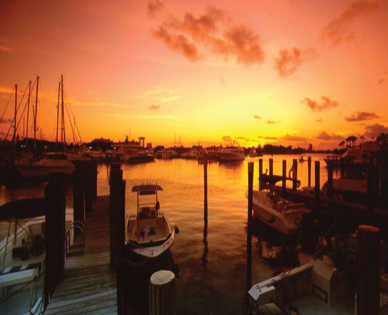 photograf: summer wallpaper