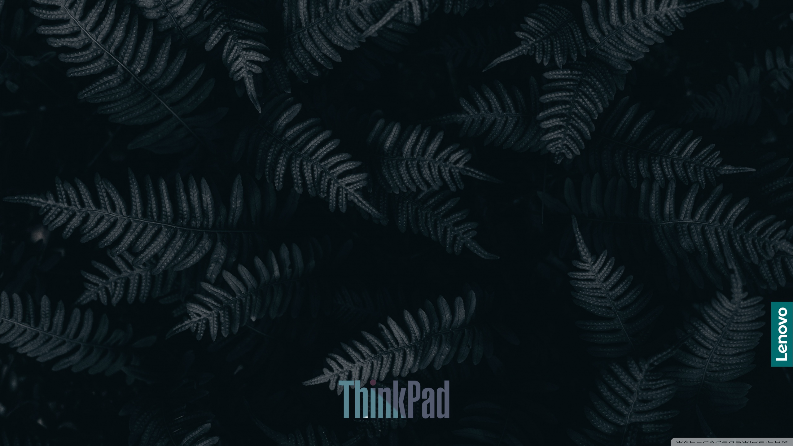 Lenovo Thinkpad 4K UHD Wallpaper for UltraHD Desktop and TV