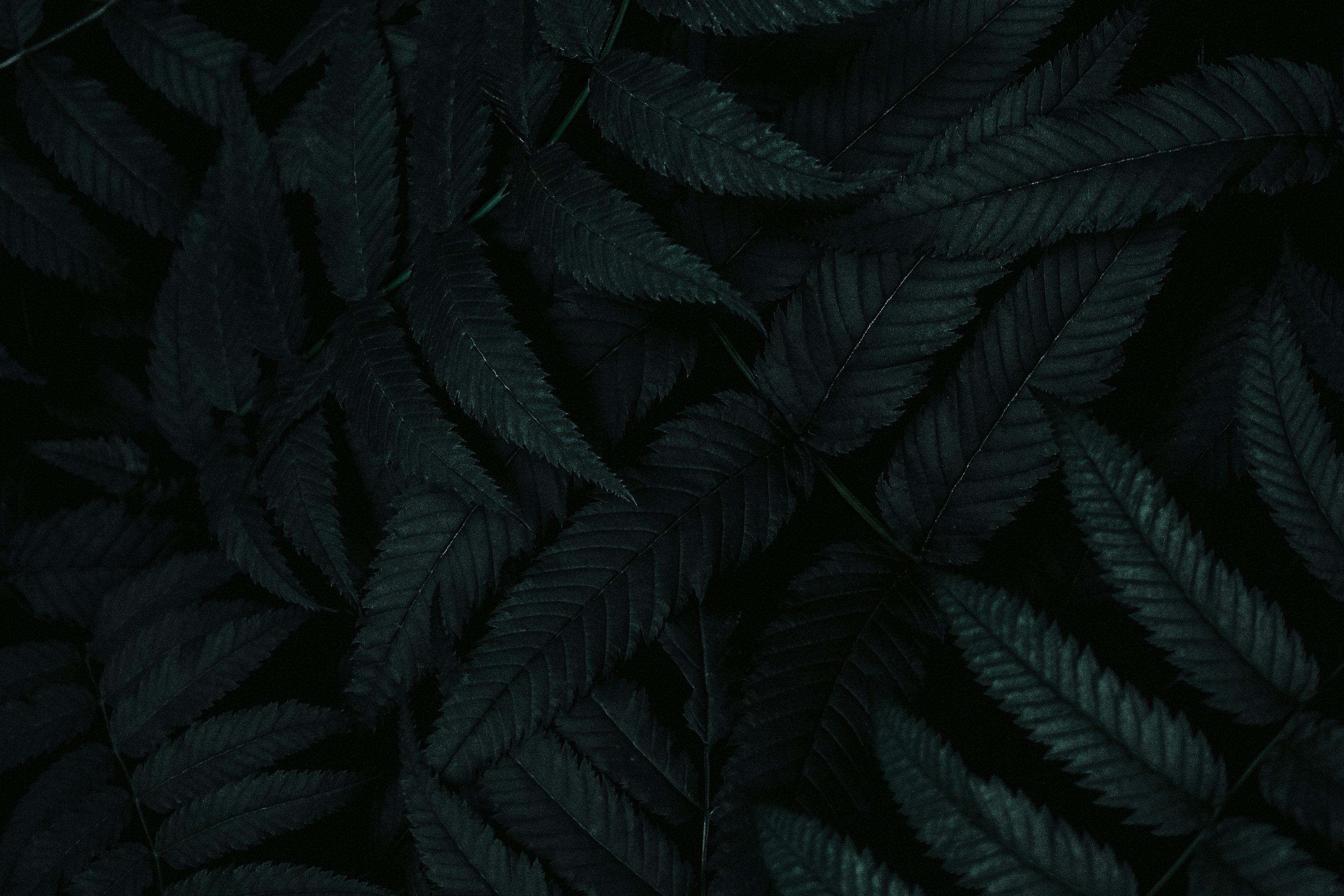 Dark Pattern Picture. Download Free Image