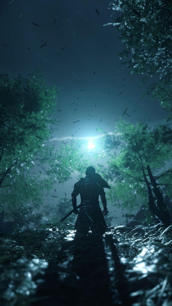 Ghost of Tsushima night