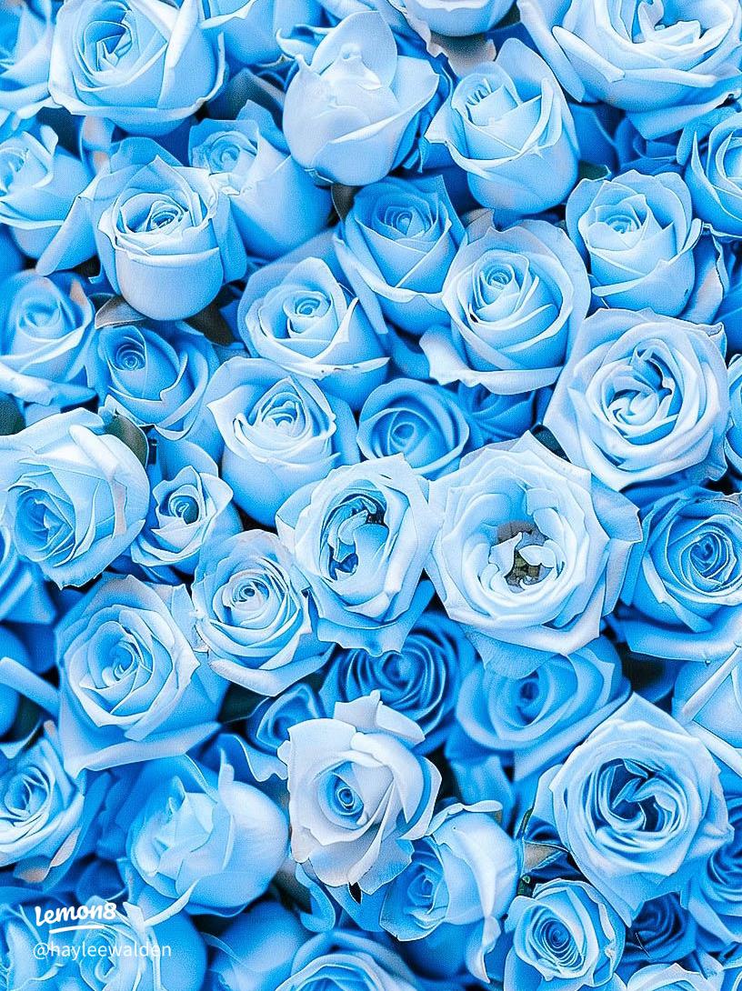 Stunning Cute Blue Wallpaper for Your Device