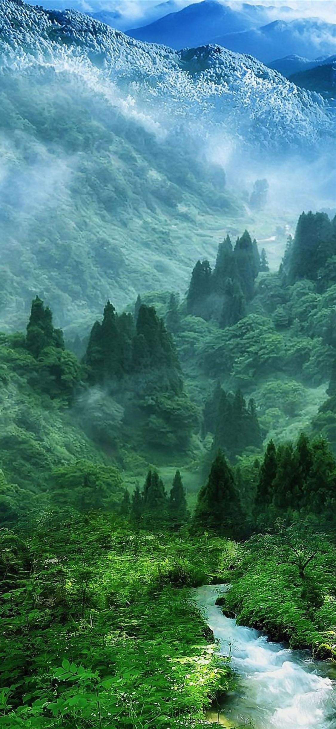 Nature Mist Mountain Wood Forest River Landscape iPhone Wallpaper Free Download