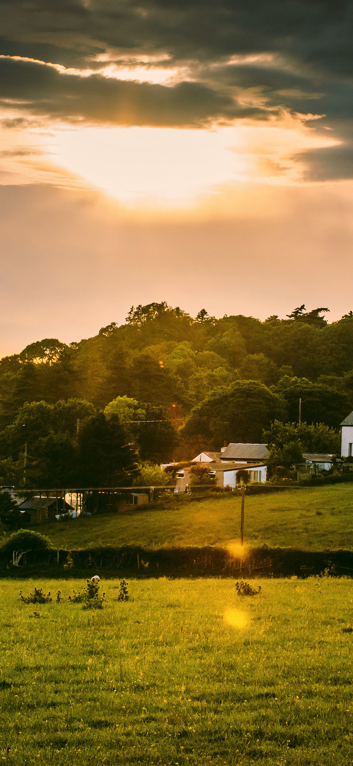 iPhone X wallpaper. peace town house nature