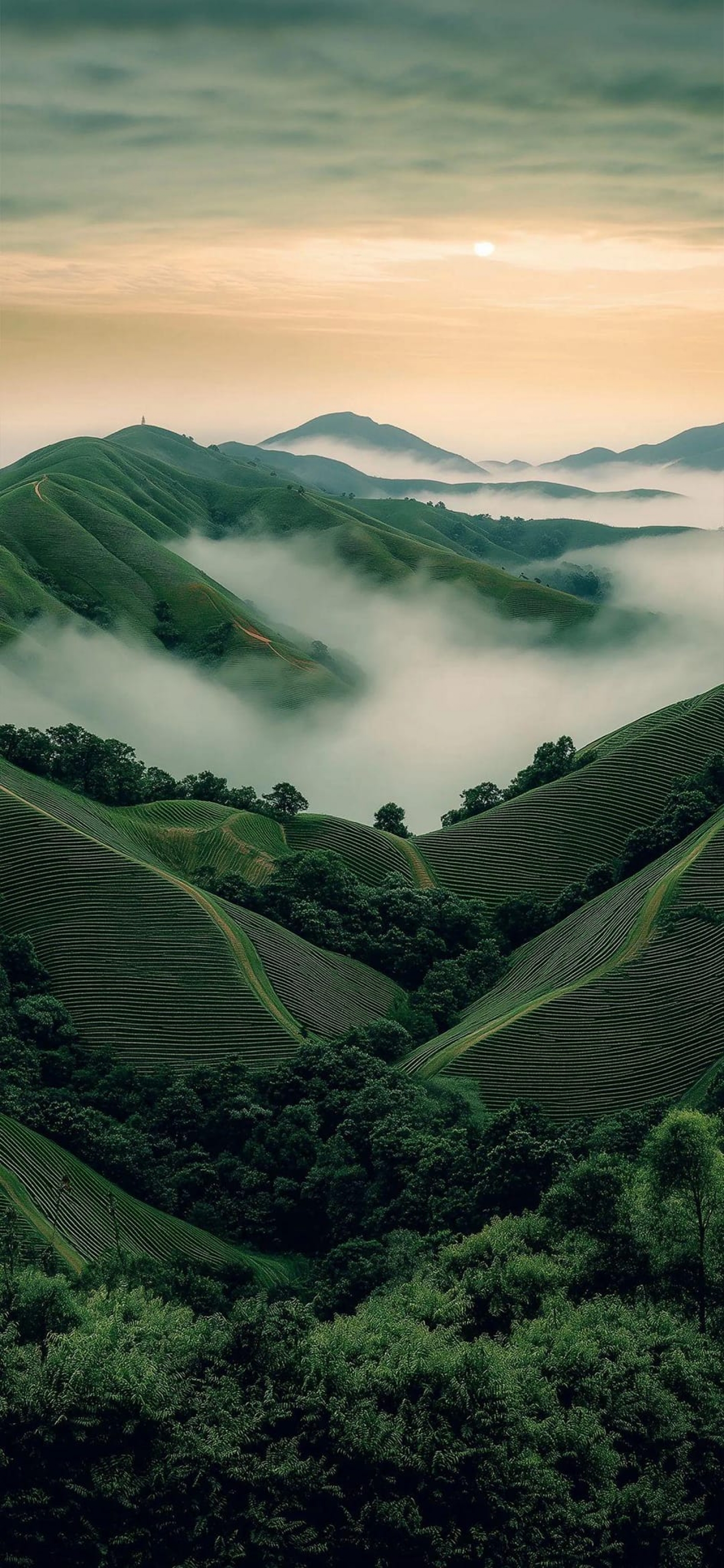 Nature Green Rolling Hills At Sunrise
