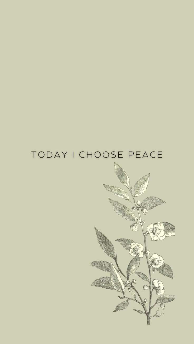 Today I choose Peace Wallpaper