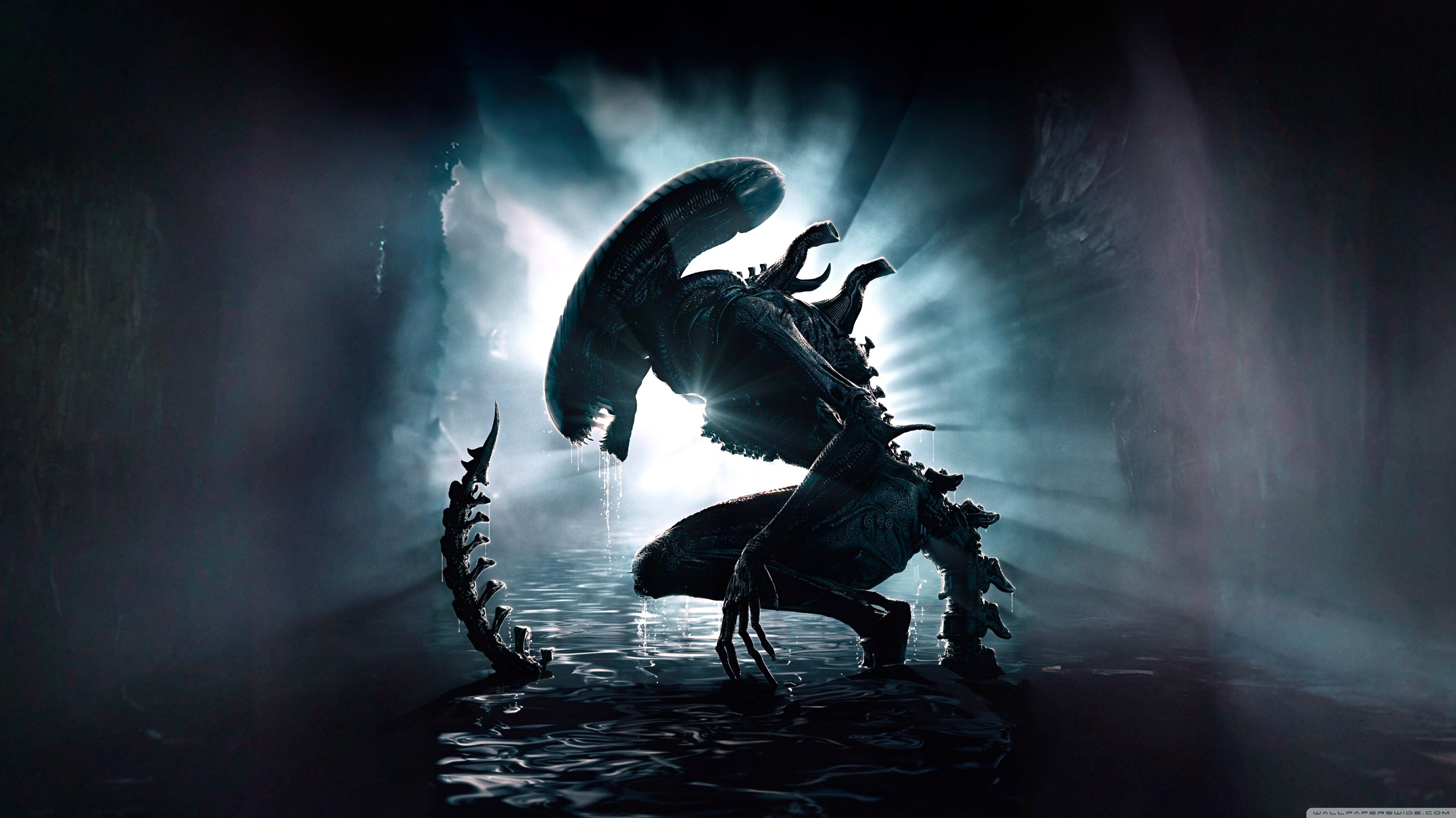 Xenomorph Alien 4K UHD Wallpaper for UltraHD Desktop and TV, Widescreen and UltraWide Display, Smartphone and Tablet Devices