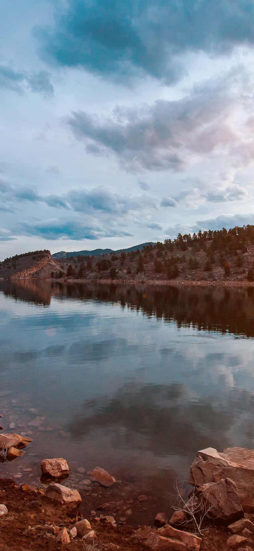 Download Texas iPhone Nature Forest Lake Wallpaper