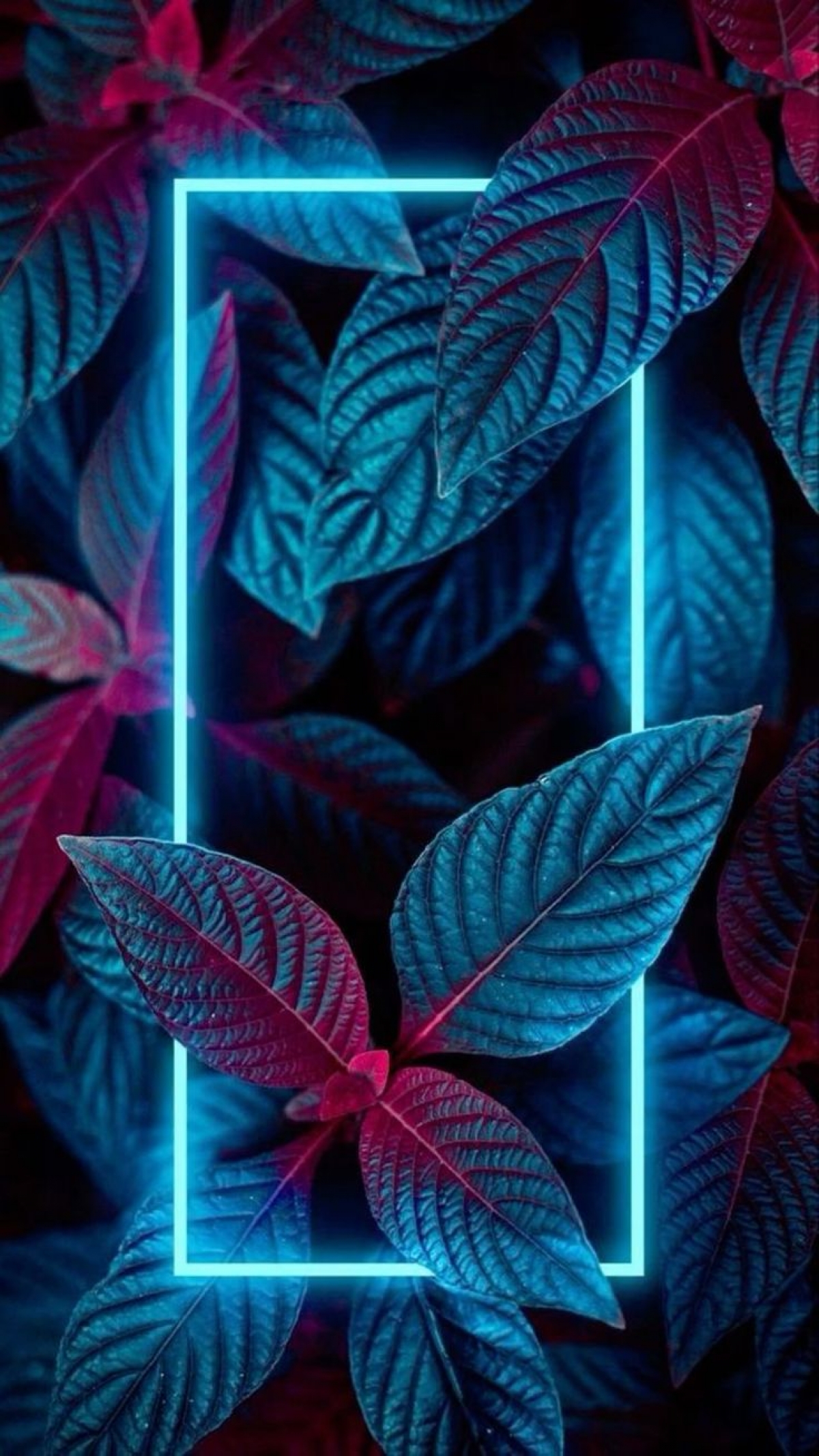 Neon Leaves And Plants