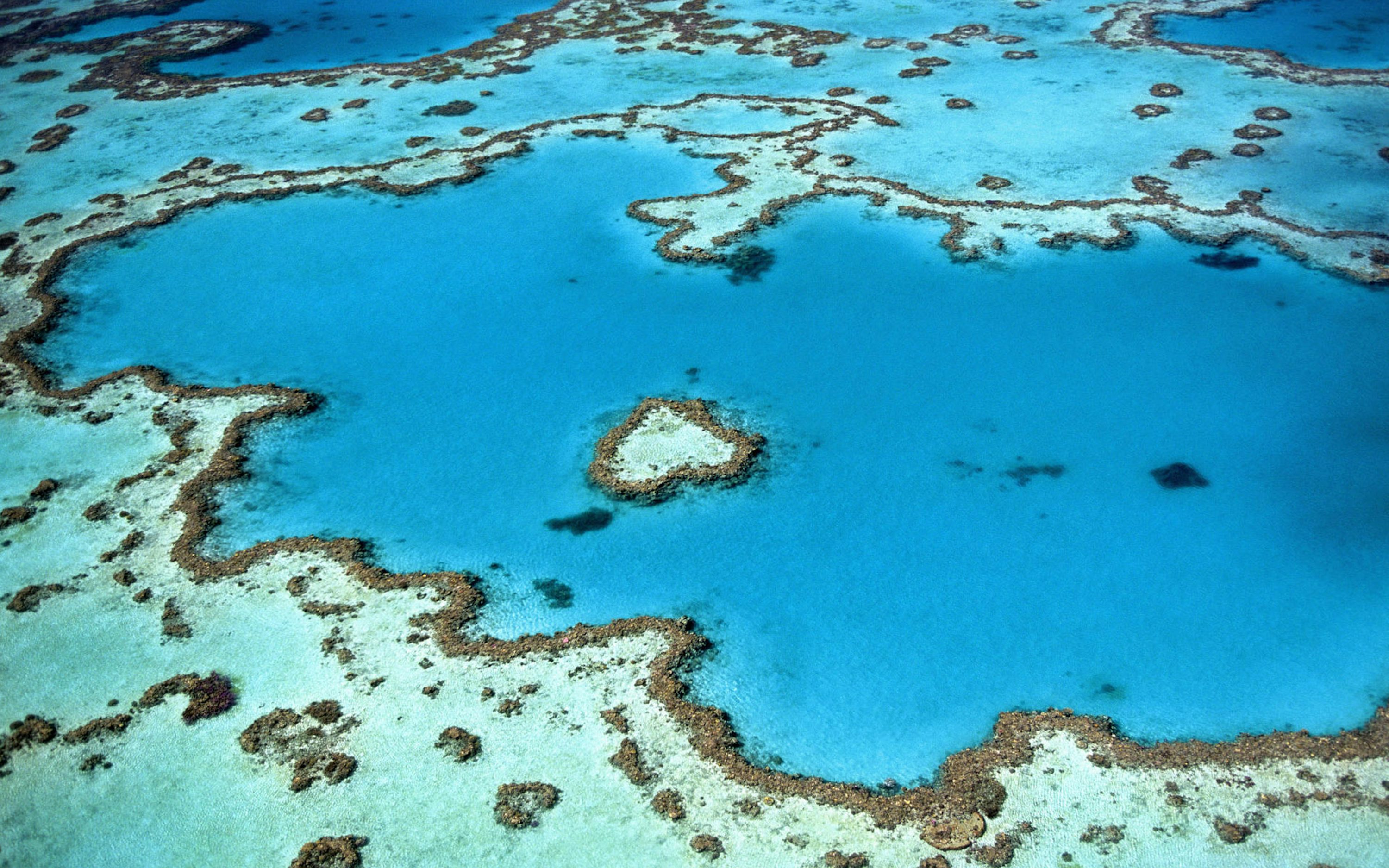 Great Barrier Reef Picture. Download Free Image