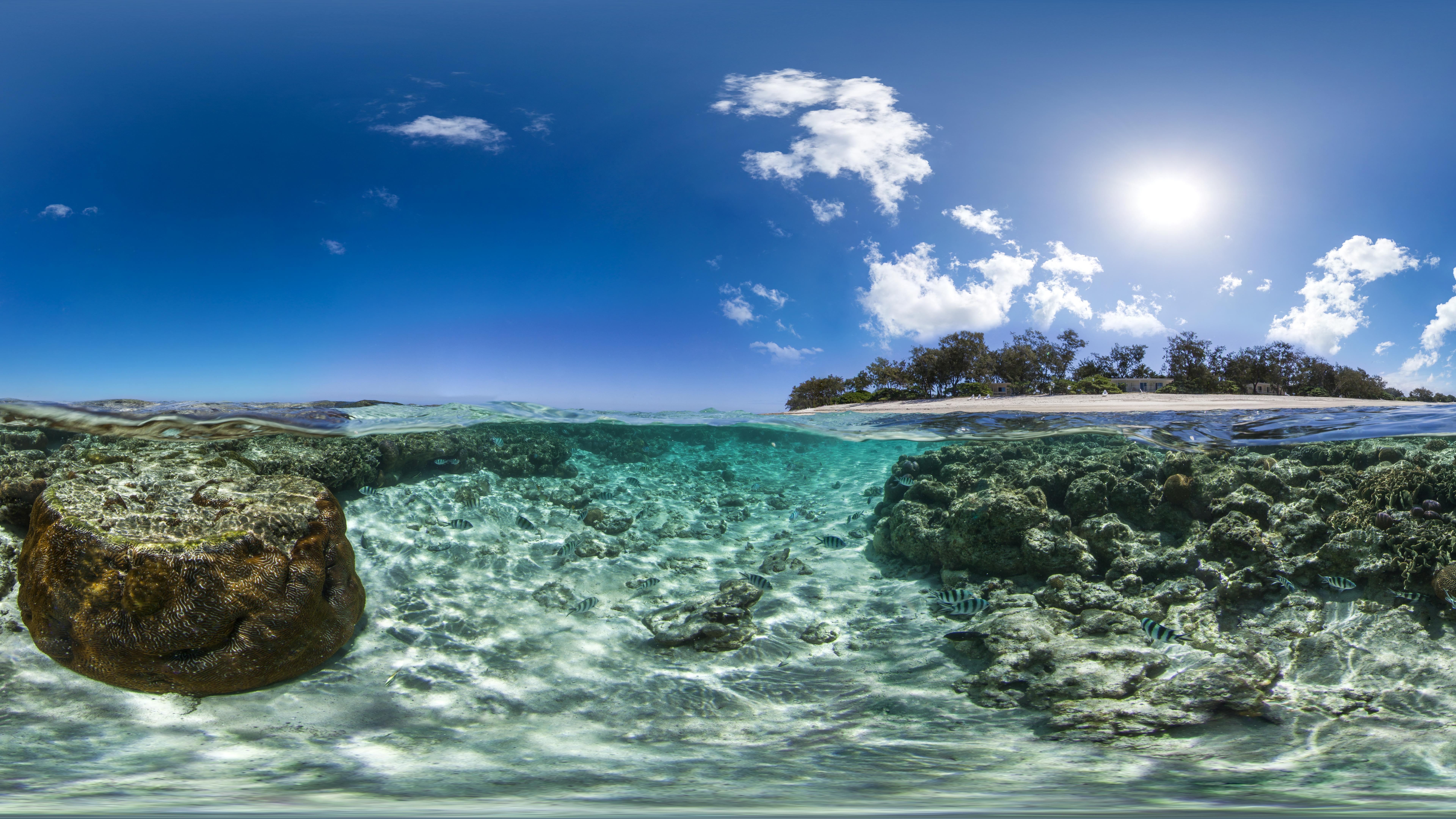 Stunning 8K Ultra HD: Underwater Beauty of the Great Barrier Reef, Australia