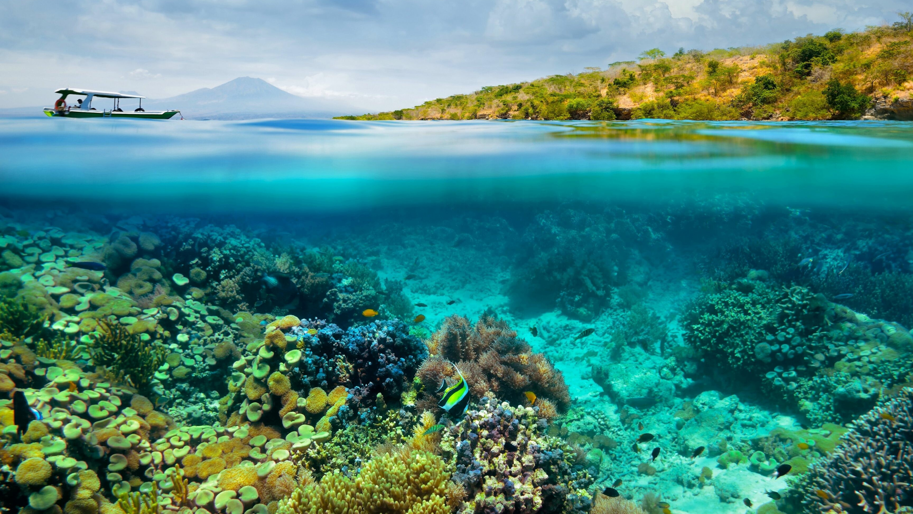 Great Barrier Reef Wallpaper