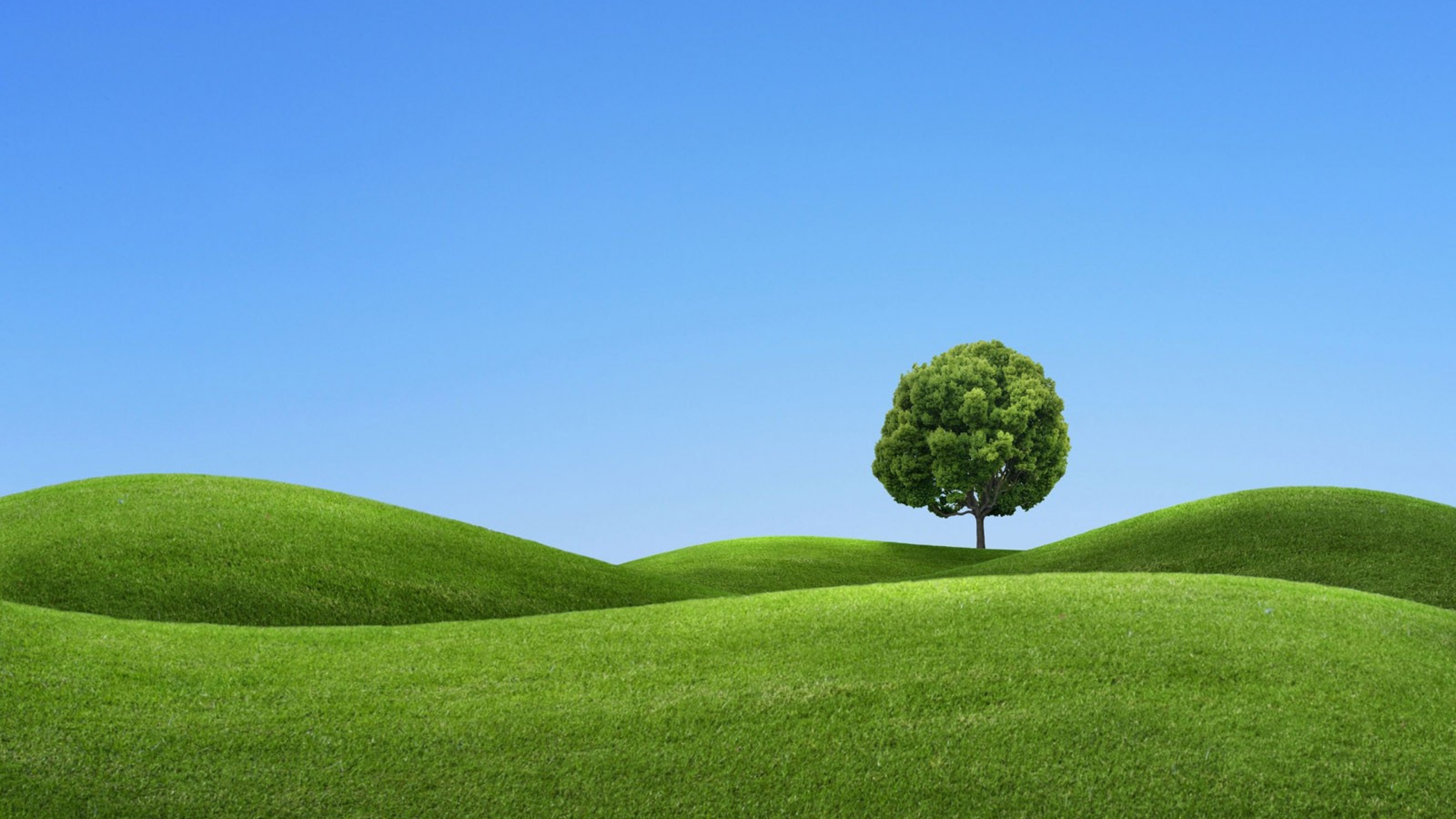 Green Hills Wallpaper