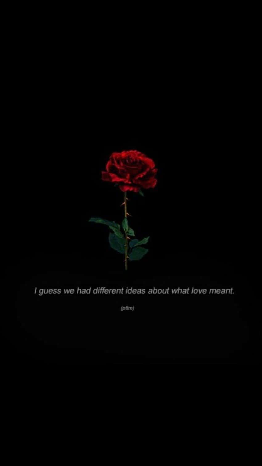 Dark Romance Aesthetic Wallpaper