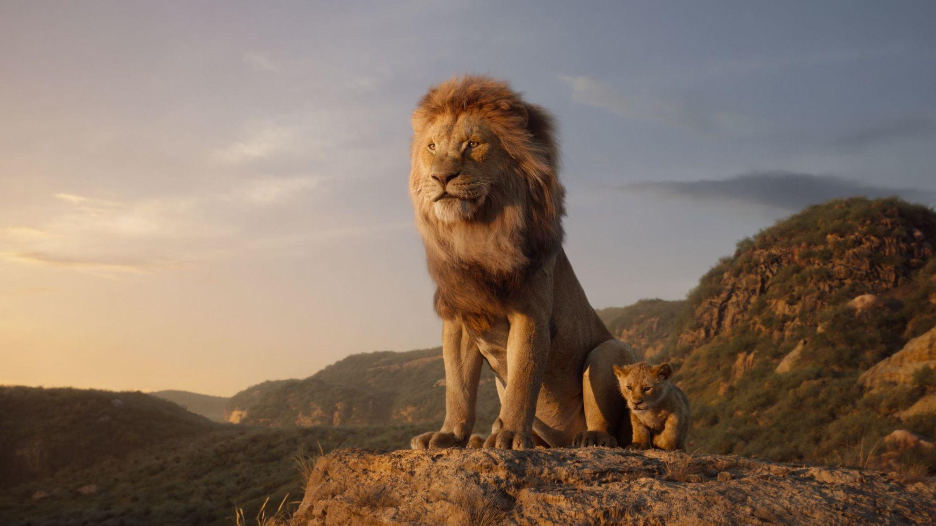 Mufasa The Lion King Background Wallpaper