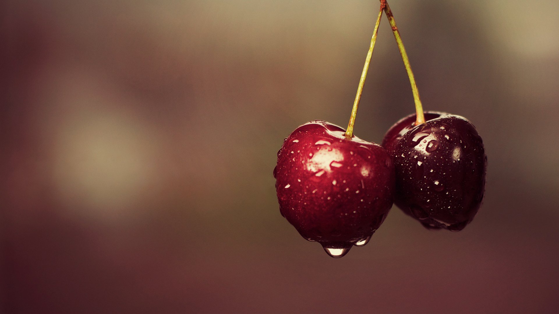 Juicy Cherries Delightful HD Wallpaper