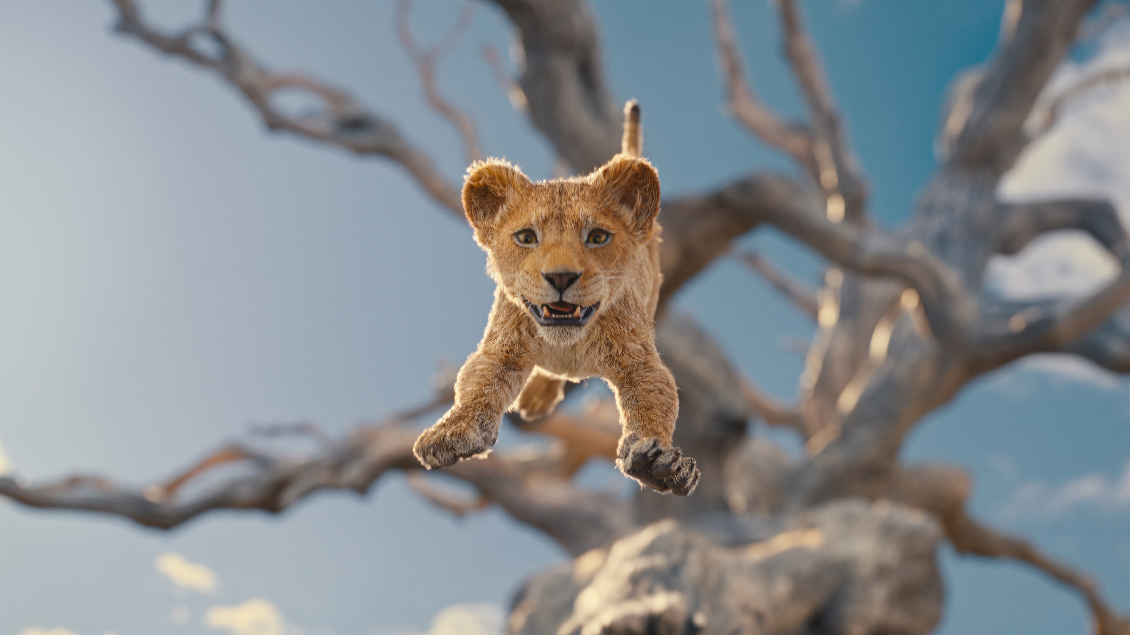 Mufasa: The Lion King 4K Wallpaper HD PC j