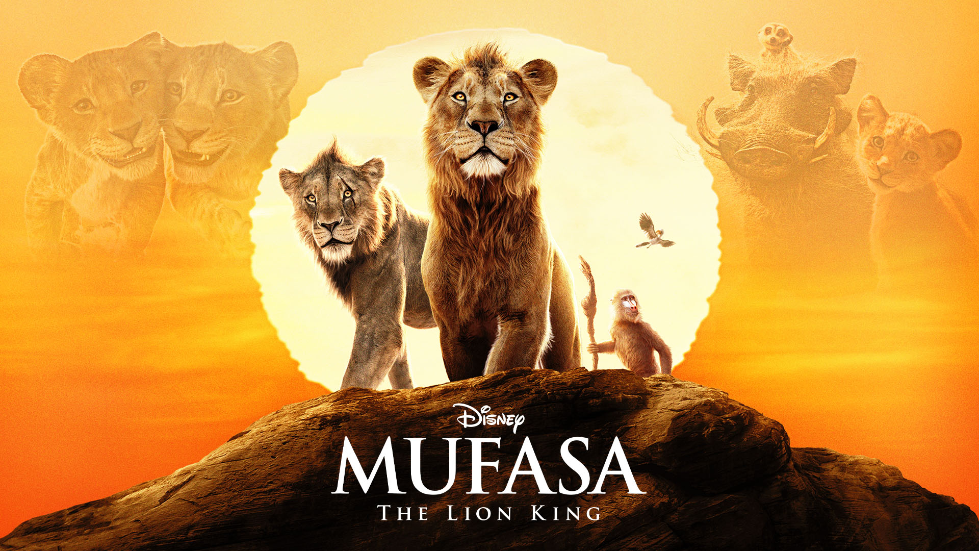 Wallpaper Lion King 1080p Stream The Lion King 123movies Lion King 2019 HD Online Mufasa: The