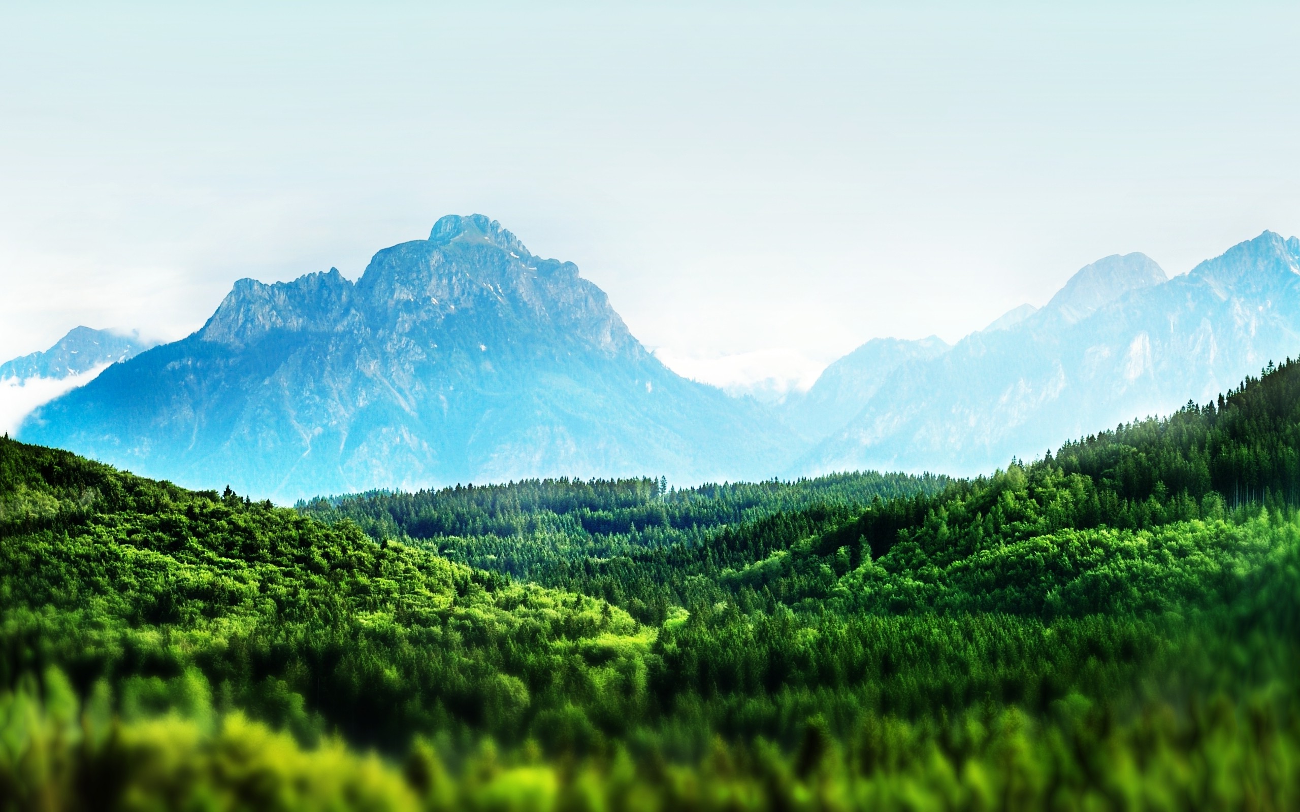 landscape, Nature, Tilt Shift, Mountain, Forest, Clear Sky Wallpaper HD / Desktop and Mobile Background